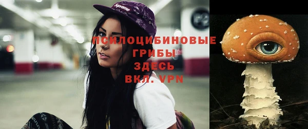 шишки Алексеевка