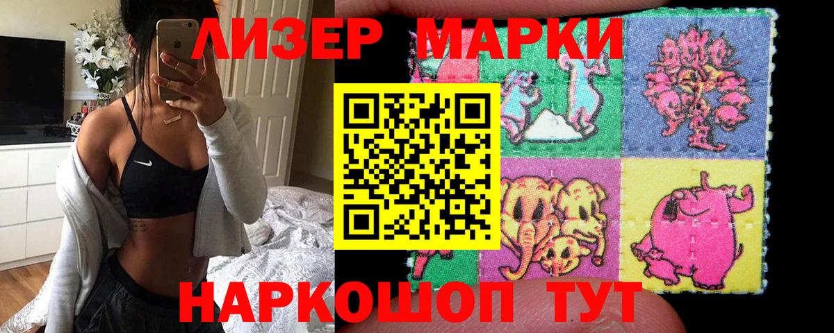 Псилоцибиновые грибы Калач-на-Дону