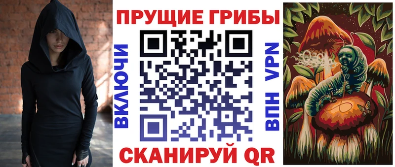 сколько стоит  Калач-на-Дону  MEGA зеркало  Псилоцибиновые грибы мицелий 