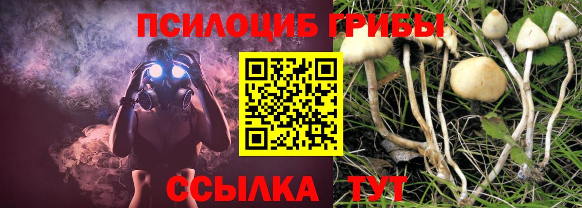 Псилоцибиновые грибы GOLDEN TEACHER Калач-на-Дону